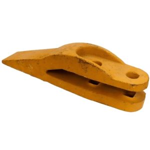 DENTE DA CONCHA