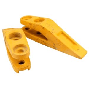 DENTE DA CONCHA