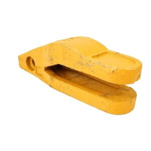 DENTE CONCHA COMPLETO