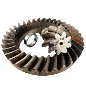 COROA E PINHAO HORARIO