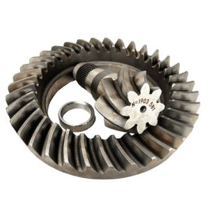 COROA E PINHAO ANTI-HORARIO