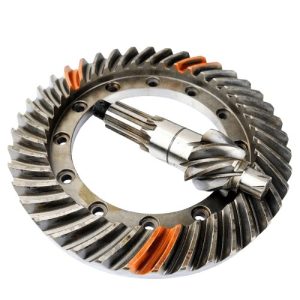 COROA E PINHAO HORARIO