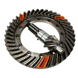 COROA E PINHAO HORARIO