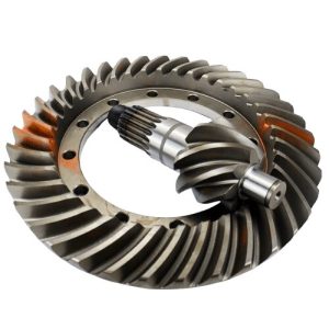 COROA E PINHAO HORARIO