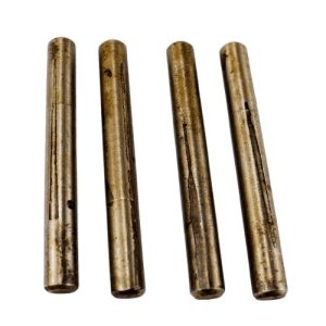 PINO DA PLANETARIA